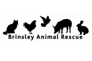Brinsleylogo
