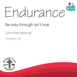 Endurance Smaller